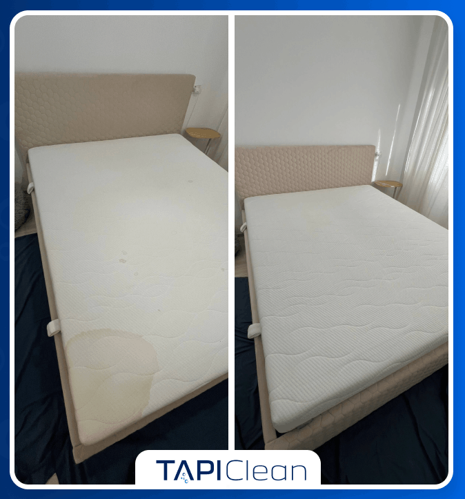 Canapea curățată profesional